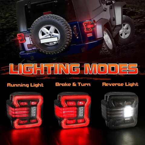 OVOVS US Type Smoked Lens Taillight with Brake Turn Signal Reverse Running