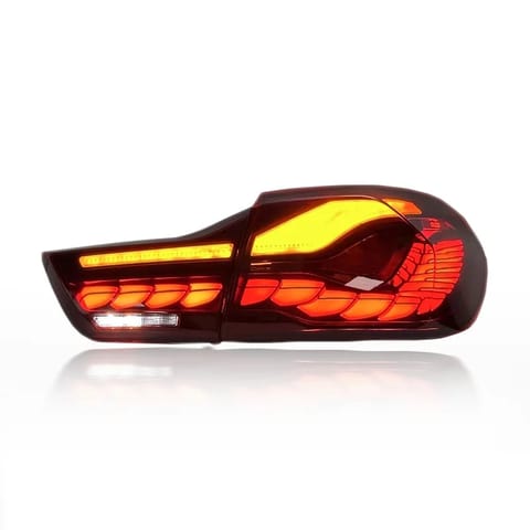 SJC Auto Car Part for BMW F82 M4 & F32 4 Series 2013-2018 OLED GTS Plug and