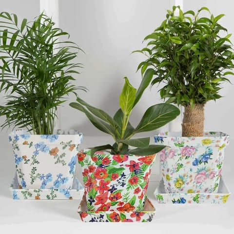 Modern Decorative Plastic Plant Pots Printed Flower Pot Pallet Container for