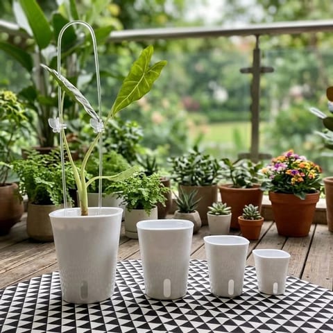Multiple Sizes Mixed Set High Quality Flower Planters Plastic Plant Self