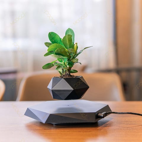 Base Magnetic Levitation Bonsai Levitating Plant Floating Plant Smart Flower