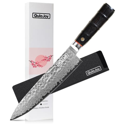 Qulajoy Japanese Chef Knife 8 Inch,67 Layers Damascus VG-10 Steel