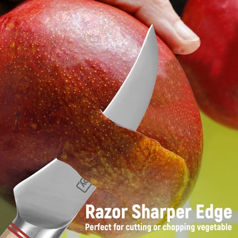 Vegetable Cleaver - Japanese Cleaver 6.5 Inch Chopping Knife High Carbon
