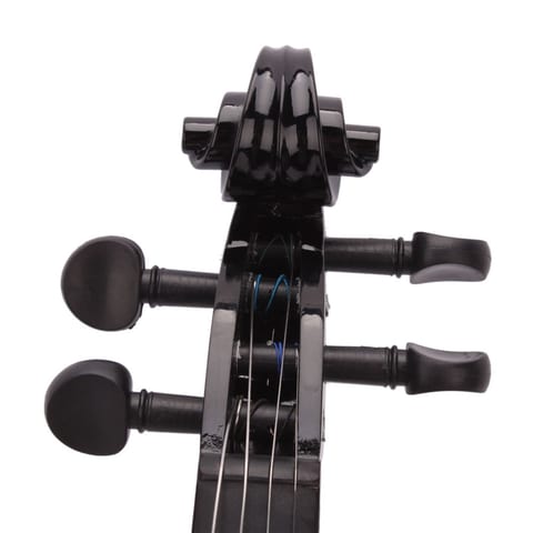 Black Acoustic Violin
