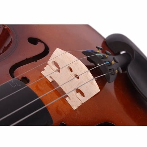 Natural Color Violin