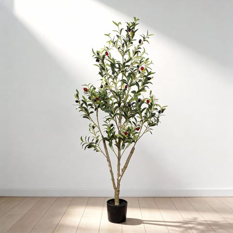 5 Artificial Olive Tree In Black Plastic Pot, 1pc Set