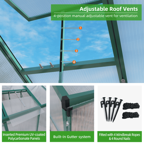 Newly Marketed Gain Height Windproofaluminum Greenhouse 6x10 FT Polycarbonate