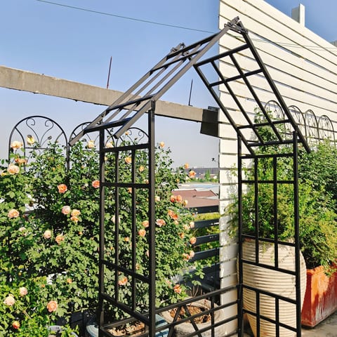 Metal Garden Arch With Bench Turned Into Flower Stand W58.07xH97.24 Climbing