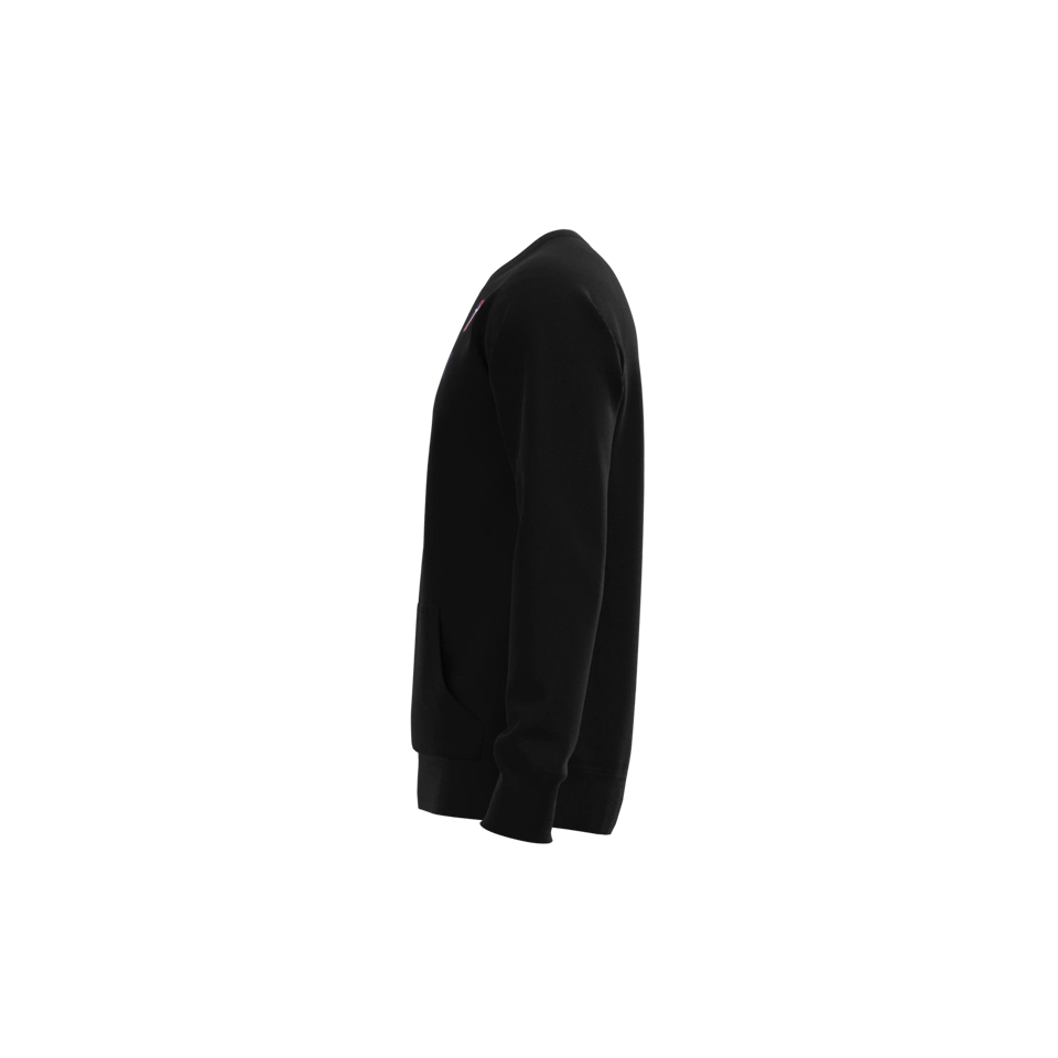 TD Men's Premium Pheonix MJH Raglan Sweatshirt Anti-Shrink Embroidered Solid, product photo