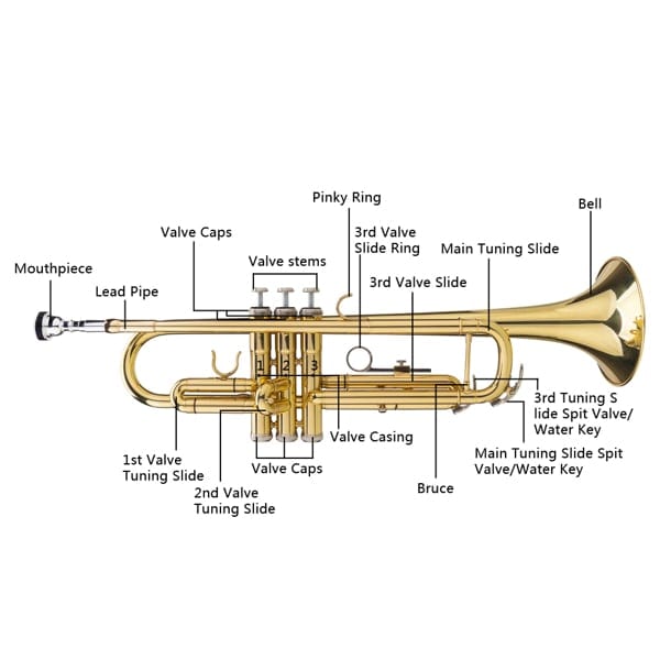 Drop B Tone Adjustable Trumpet Gloves Set Plaint Golden, product photo