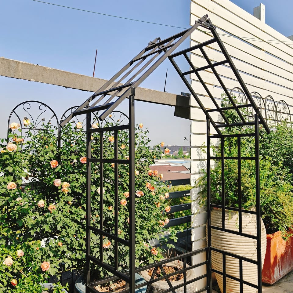 Metal Garden Arch With Bench Turned Into Flower Stand W58.07xH97.24 Climbing, product photo