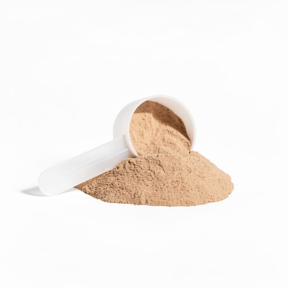 A white plastic container of chocolate plant protein powder with a green leaf design